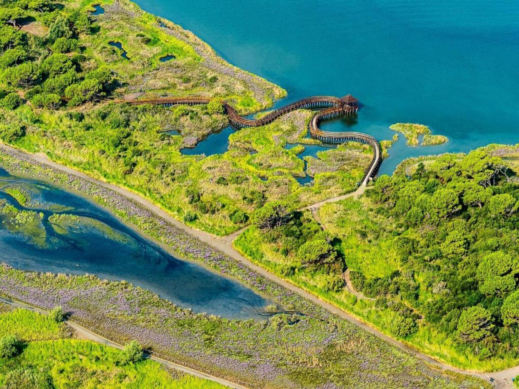 An aerial view of a coastal area with a winding wooden walkway, a small pier, and a road curving through the landscape.