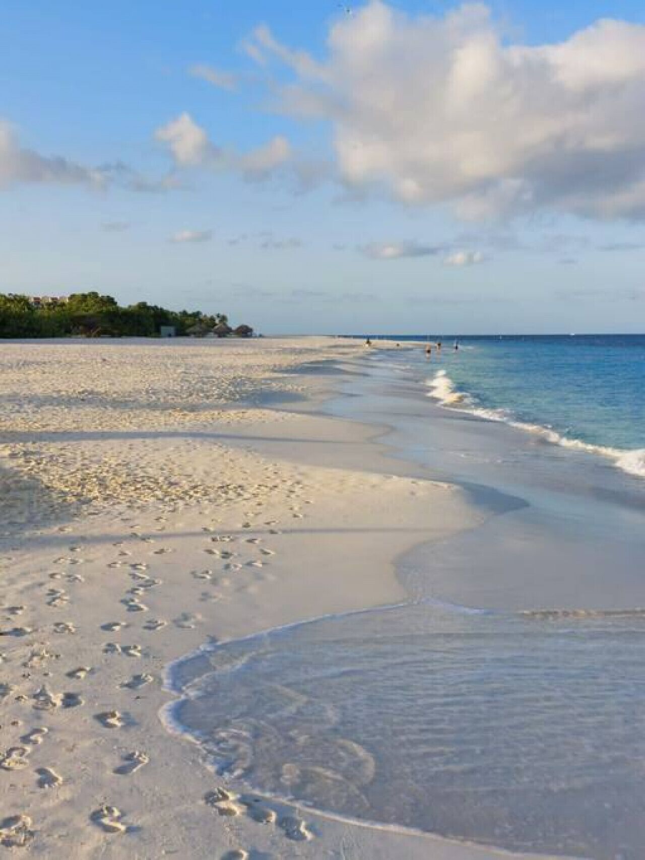 Plage à proximité, chaises longues, serviettes de plage