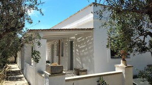 A white building with a covered porch, stone steps, and olive trees. - Masseria Ferarelli Trepizzi (Diso)