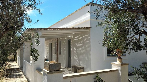 A white building with a covered porch, stone steps, and olive trees. - Masseria Ferarelli Trepizzi (Diso)