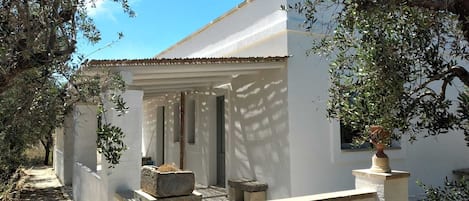 A white building with a covered porch, stone steps, and olive trees.