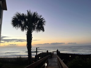 Un muelle de madera que lleva a una playa con una palmera y vista al océano.