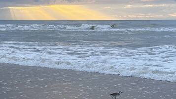 在海滩、沙滩椅、沙滩毛巾