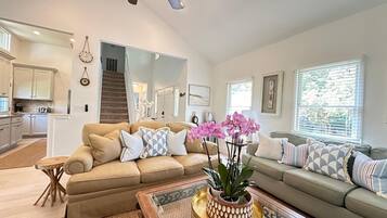 Smart TV, fireplace, books