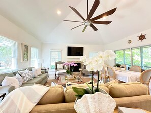 Smart TV, fireplace, books