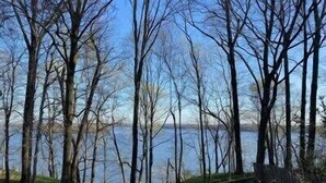 Vista de un lago rodeado de árboles y una terraza de madera.
