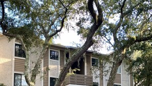 A multi-story building with a central balcony, surrounded by trees. - 2+2 Beach Condo (Fernandina Beach)