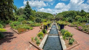 Un jardin agrémenté d’un élément aquatique central, entouré de différentes plantes et doté d’un chemin en briques.