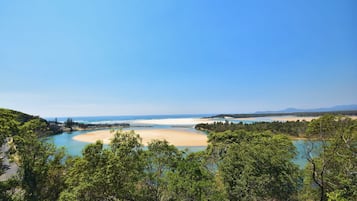 A coastal landscape with a clear sky, a sandy beach, and dense greenery.
