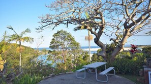 Une table de pique-nique avec un banc, entourée d’une végétation luxuriante et offrant une vue sur l’océan.