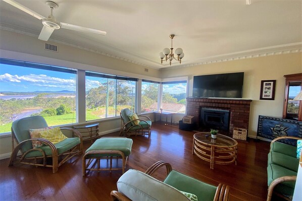 Smart TV, chimenea y reproductor de DVD 