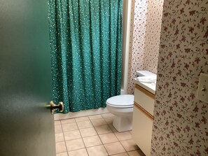 Combined shower/tub, hair dryer, towels, toilet paper