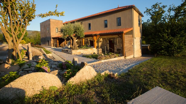 Una casa moderna con fachada de piedra, techo de tejas y entrada pavimentada.