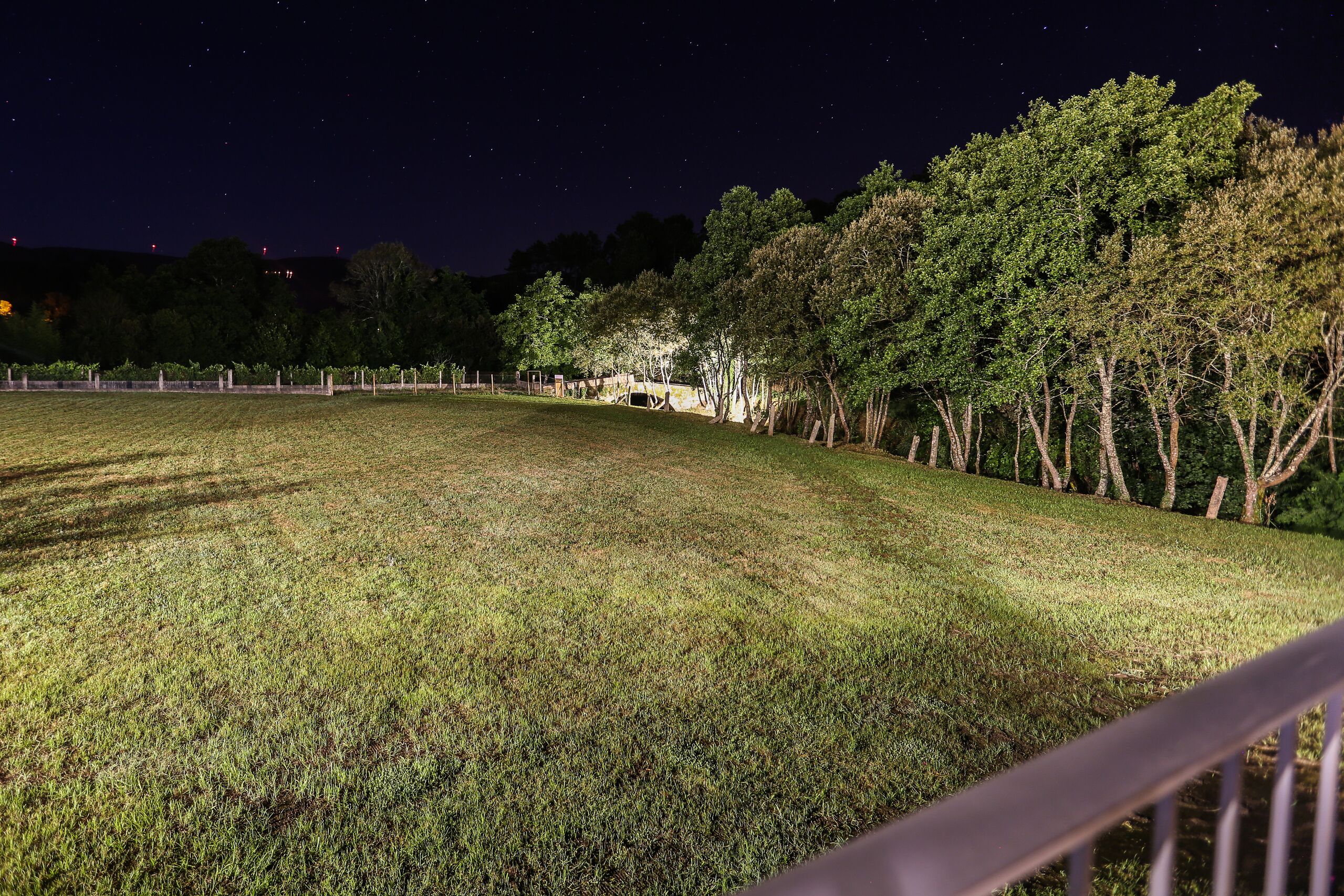 A grassy field with trees and a fence.