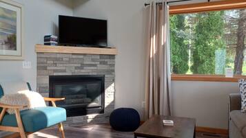 Smart TV, fireplace, DVD player, books