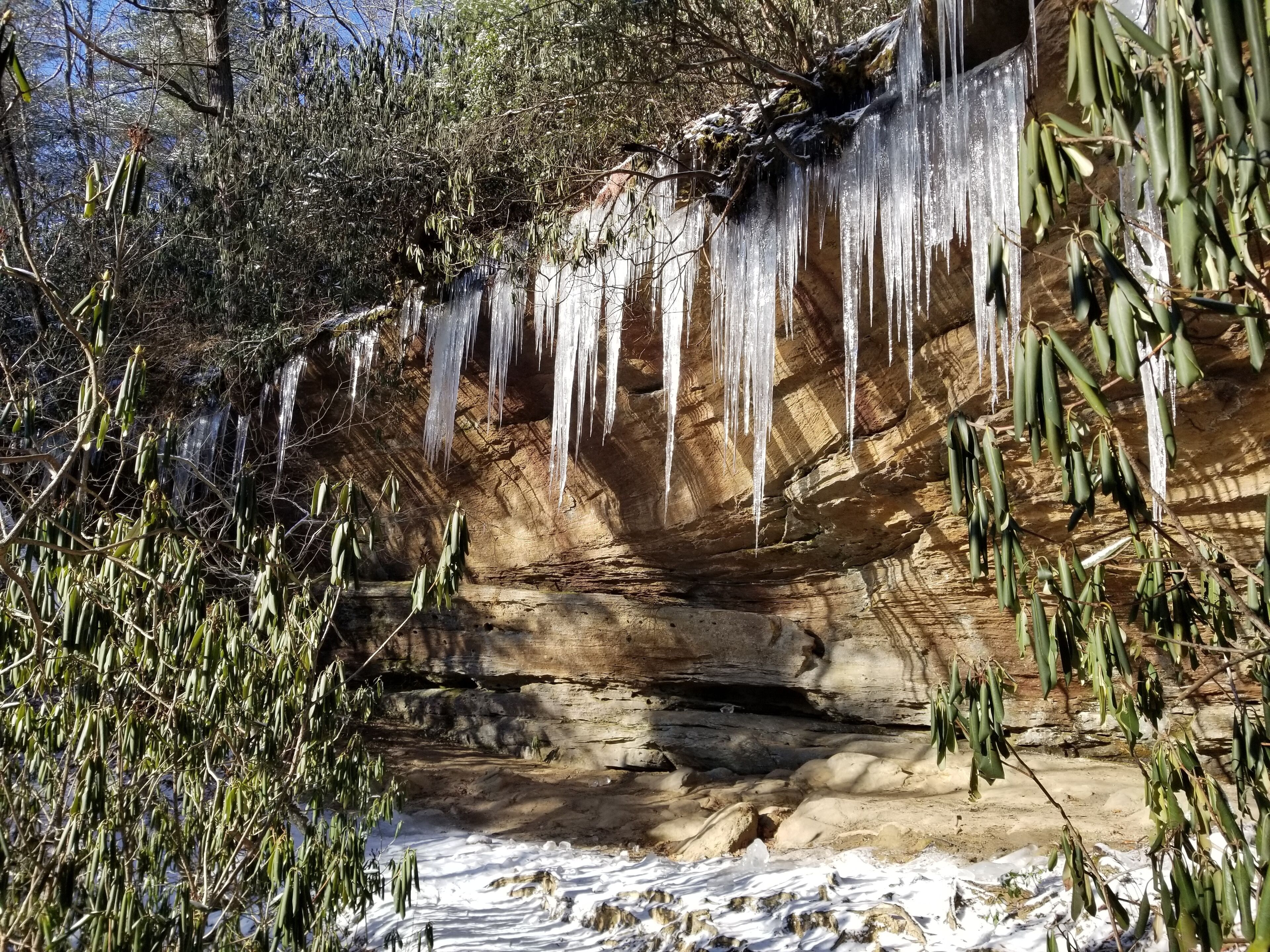 A natural rock formation with icicles hanging from it, surrounded by vegetation.