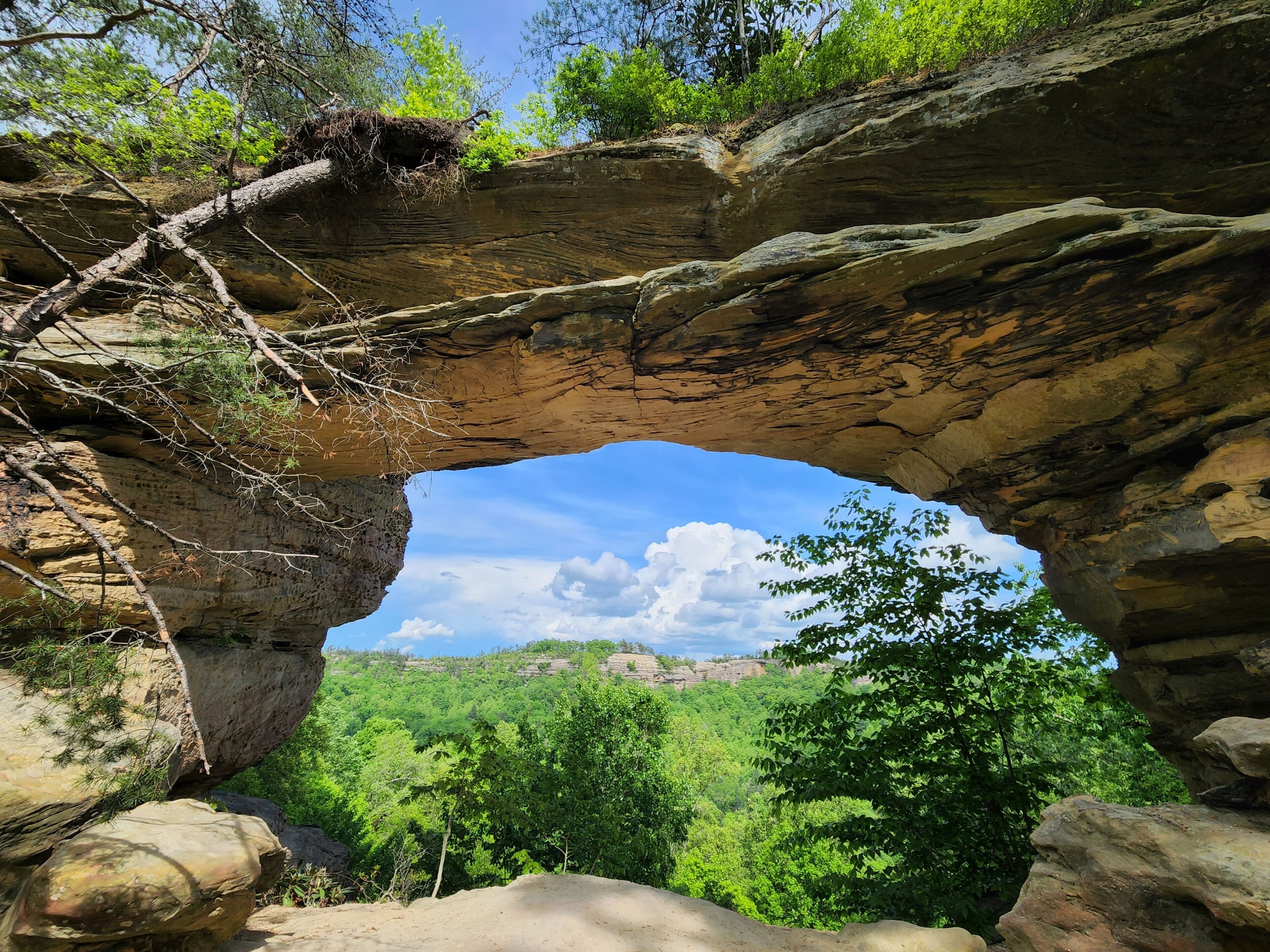 Une arche naturelle formée par la roche, offrant une vue sur une vallée boisée en contrebas.