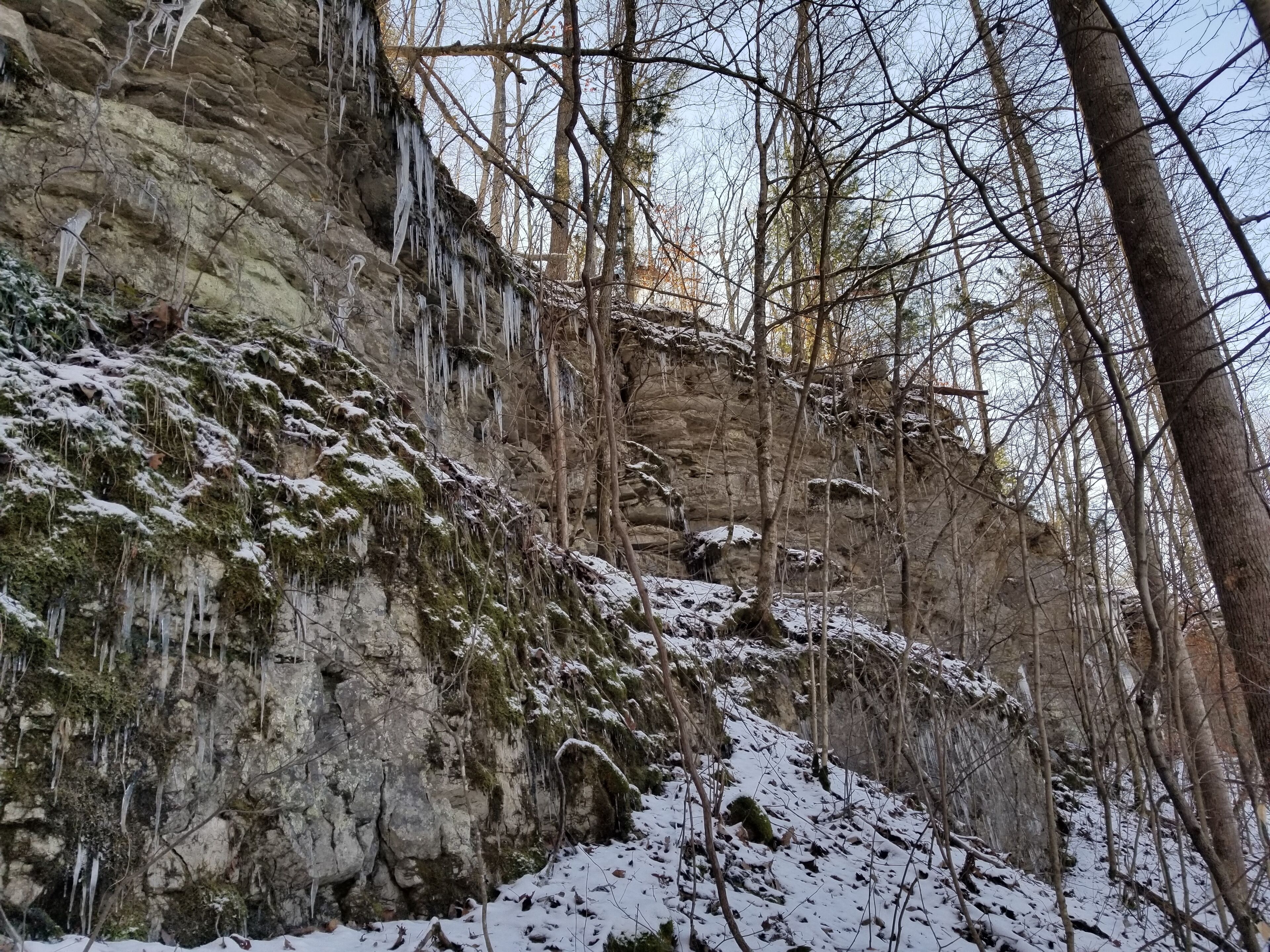 A rocky cliff with icicles and snow-covered trees.