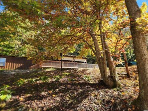 A wooden deck with a railing, surrounded by trees with autumn foliage.
