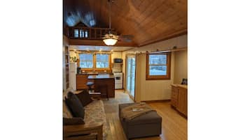 TV connectée, cheminée, lecteur de DVD, livres