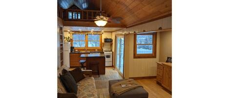 TV connectée, cheminée, lecteur de DVD, livres