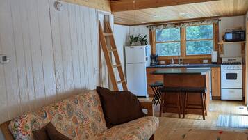 TV connectée, cheminée, lecteur de DVD, livres