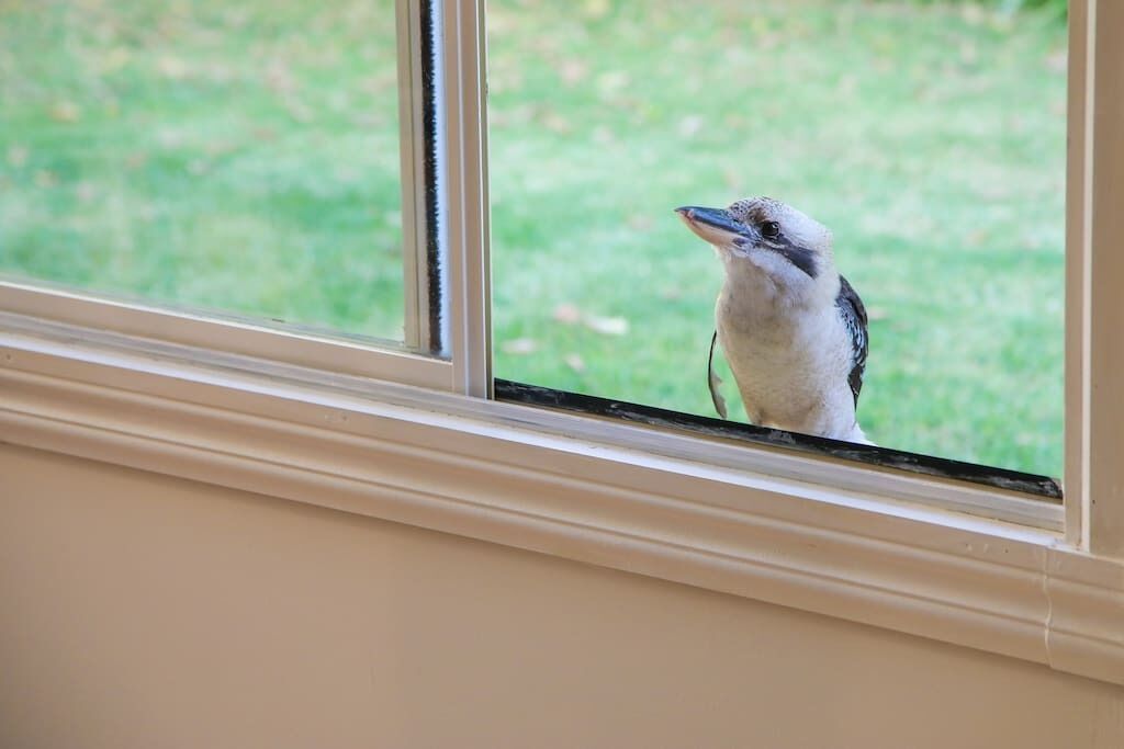 Sprawling 6-bedroom home on 2 acres- indoor pool - The Retreat @ Stirling — image 24