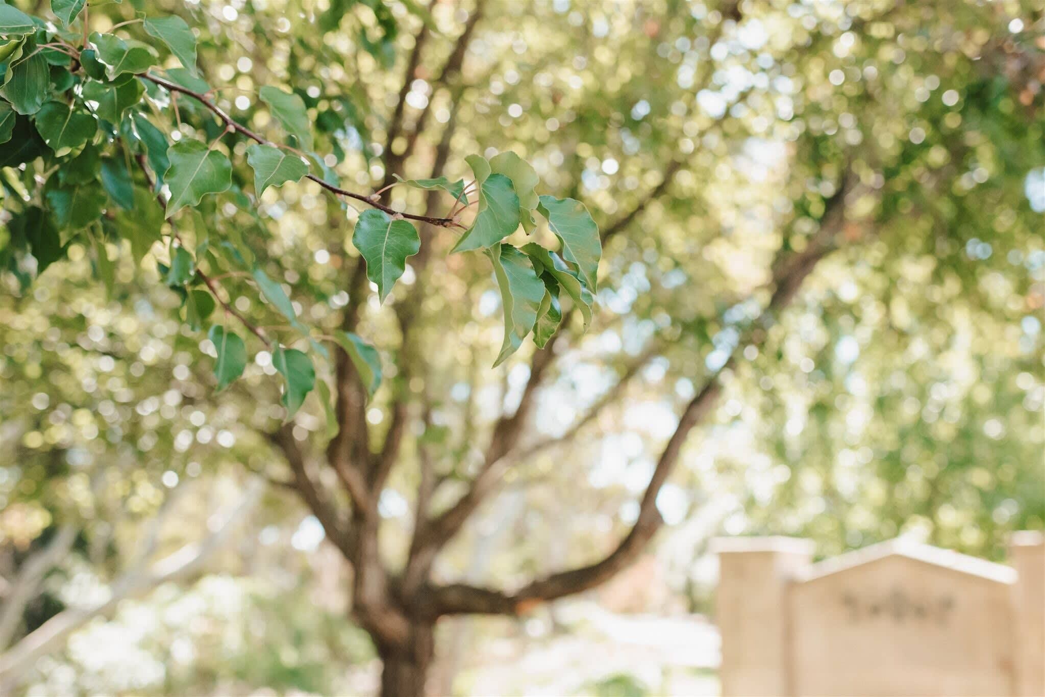 1 Bedroom Balcony Apartment — image 14