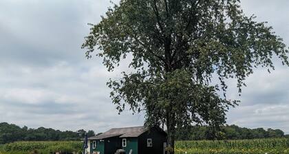 Secluded Country Cabin
