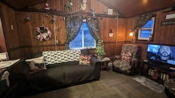 Smart-tv, pejs, dvd-afspiller, videobibliotek