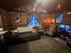 Smart-TV, peis, DVD-spiller og filmbibliotek