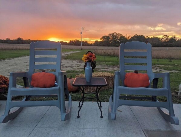 Property grounds - Secluded Country Cabin (Berrien Springs)