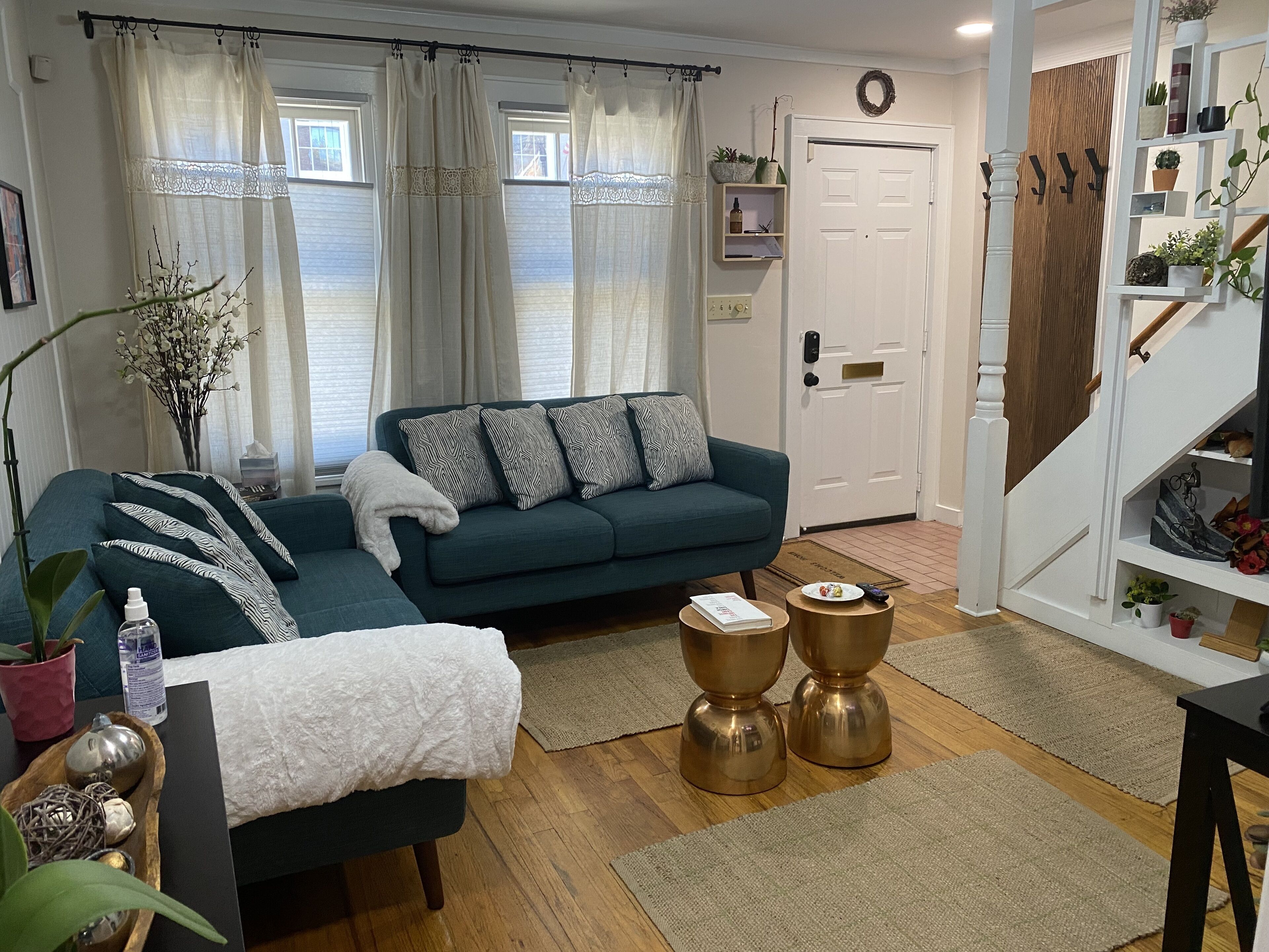 Smart TV, books, computer monitors