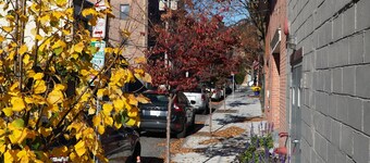 Modern & Cozy Cntr Square Townhouse Gem from 1854