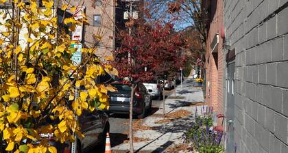 Modern & Cozy Cntr Square Townhouse Gem from 1854