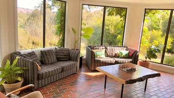 TV connectée, cheminée, lecteur de DVD, livres