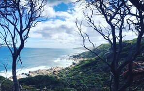 A coastal landscape with rocky terrain and sparse vegetation. - Beat the Winter Blues 25% off - XL Group and Multiple Family Getaway (Burnside Margaret River)