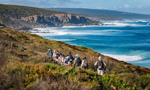 A coastal hiking trail with rocky cliffs and ocean views. - Beat the Winter Blues 25% off - XL Group and Multiple Family Getaway (Burnside Margaret River)