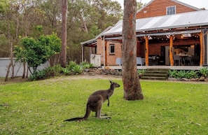 Exterior - Luxury Bush Retreat- Sleeps 12- Near Beach & Town- Super Winter & Spring Special (Burnside Margaret River)