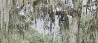 Shell Harbour Resort Cabin #4