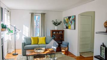 Smart TV, fireplace, books