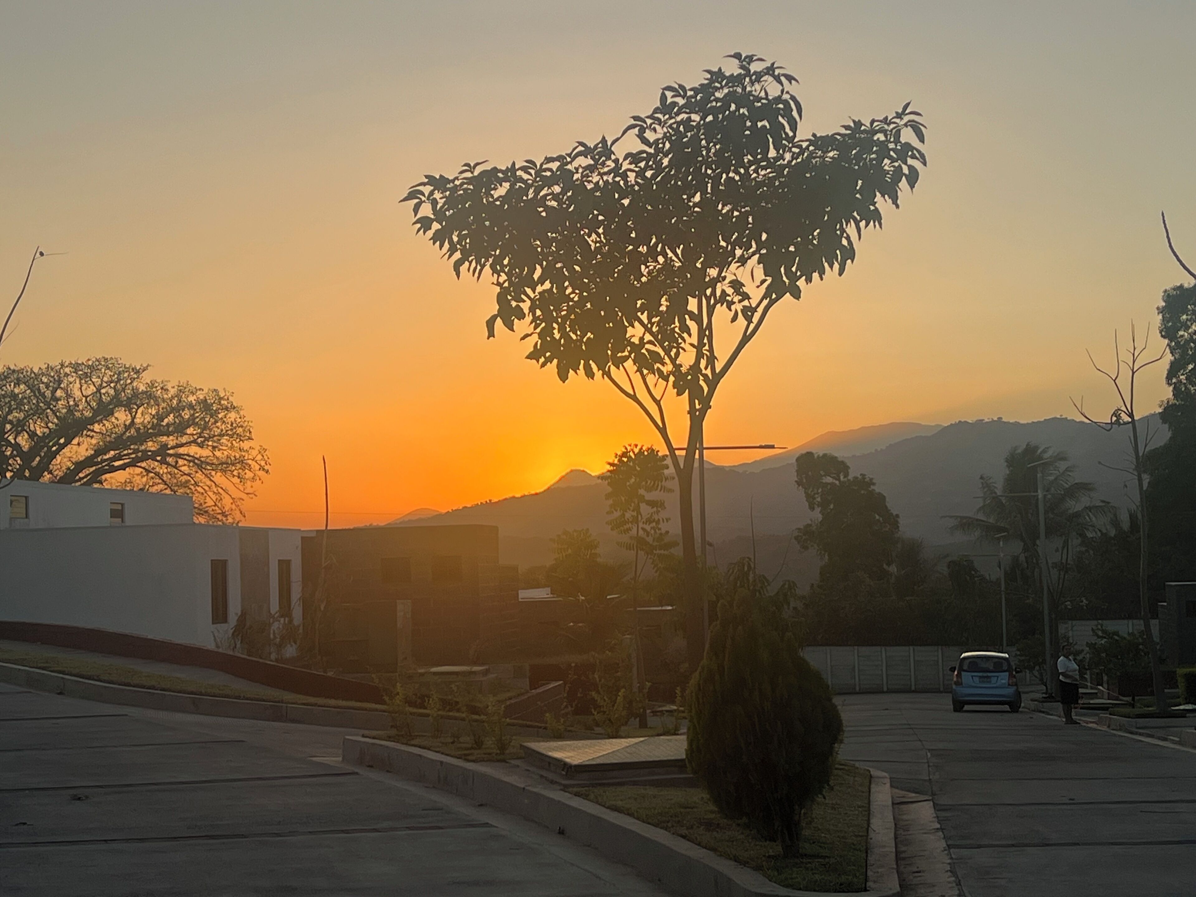 A parking lot with a tree in the foreground, a building in the background, and a sunset in the distance.