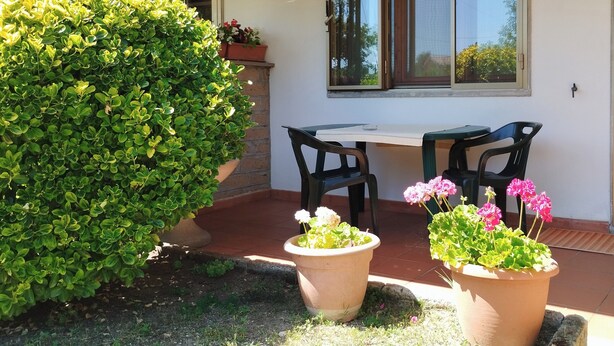 Eine Terrasse mit Tisch und Stühlen, umgeben von Kübelpflanzen und einem großen Busch.