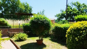 Ein Garten mit Kübelpflanzen und Blumen, einem Pflasterweg und einem Metallzaun.