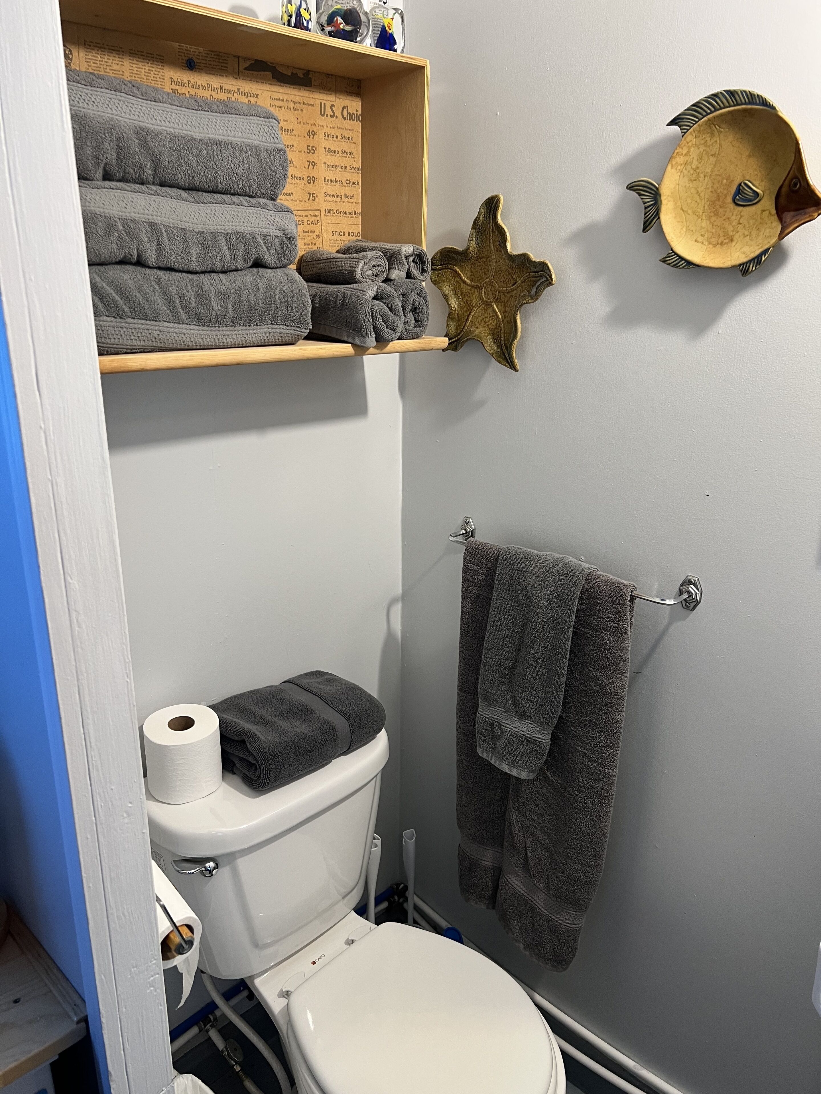 Douche, serviettes fournies, papier toilette