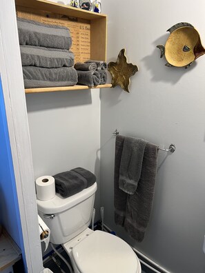 Shower, towels, toilet paper