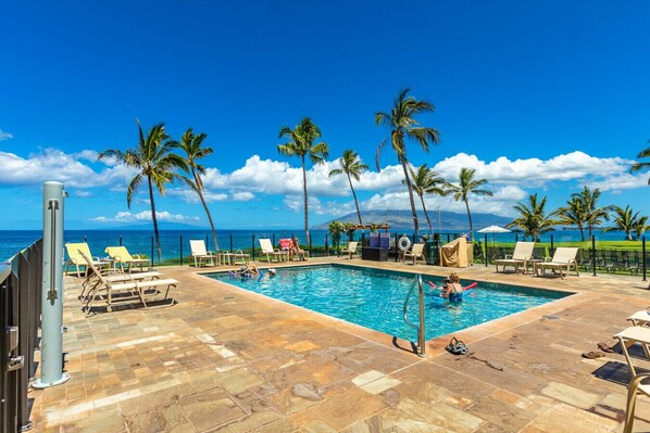 Relax by the oceanfront pool surrounded by palm trees and lounge chairs.