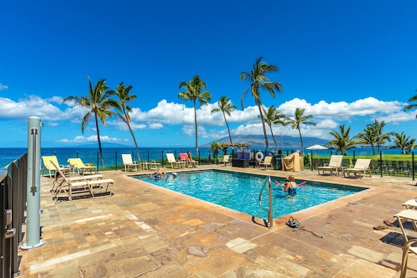 Relax by the oceanfront pool surrounded by palm trees and lounge chairs.