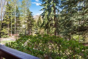 Property grounds - Village Center C2J - 2 Bedroom Residence (vail)
