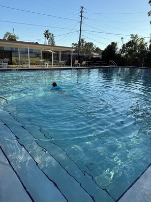 Pool - Beautiful Waterfront Family Retreat with Hot Tub Near Beaches and Parks! (Holiday)